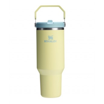 Термокружка STANLEY ICEFLOW2.0 0,89L (10-13319-0043) желтая
